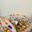 말랑유치원 이미지