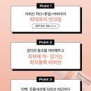 다이소 쇼핑 /더마블록 비비선크림/파데프리 가능??