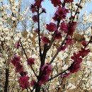 화원농장3 이미지