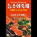 비체올린 | 제주도 실시간 데이지꽃 만개 비체올린 능소화축제