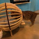 메인쿤 하우스 이미지