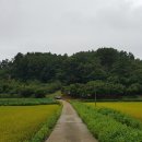 꼬꼬체험장 이미지