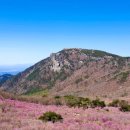 비슬산휴양림캠핑장관리사무소 이미지