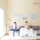 스튜디오브라이트 이미지