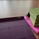 쁘램요가 이미지