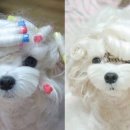 초콜릿식당 이미지