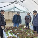 농가의 겨울 이미지