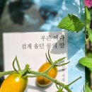 동네누부야가 이미지