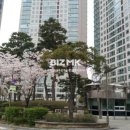 야후공인중개사사무소 이미지