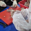 제일식당 | 포항 현지인 맛집 추천 내돈내산 포항 넘버원 돼지국밥 제일식당 솔직후기