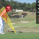 밑거름비디오 이미지