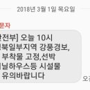 스마일투어 네이버블로그