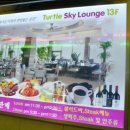 스카이터틀 네이버블로그