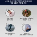 선아유통 | 콘드로이친 코스트코 콘드로이친 1200 효능 무부프리 60정 쉽게 이해하기