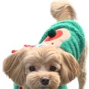 하운드호텔 이천터미널 이미지