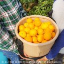 체험농장 민박 이미지