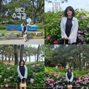 송림카 | 부산 수국 명소 해운대 송림공원 부산 렌터카 싼곳 롯데렌터카 G car 패스365 후기