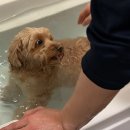 킹덤게스트하우스 | 2026 버킷리스트 42개