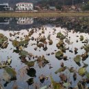 목장원가든 이미지