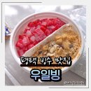 우일광고 | 평택 빙수맛집 호미탐 우일빙 꿀수박 인절미팥 반반빙수 후기