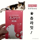 펫원 - 용인시 처인구 보개원삼로 1707 | 맛있는 건강 간식, 츄라잇 고양이츄르 영양제 체험기