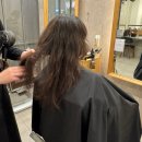 오일필드(주) 덕양지점 | [경기] 고양 스타필드 미용실 준오헤어 | 서나 디자이너님께 커트+드라이 받은 후기, 디테일 끝판왕
