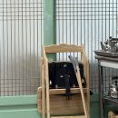 하동식당 | 하동 혜성식당 참게탕 재첩정식 내돈내산 재방문 후기