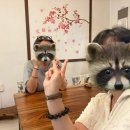 카페아낙466 이미지