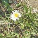 밀알농원 이미지