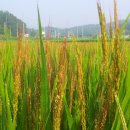 한축농장 이미지