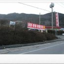 완도참오리