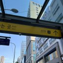 신사고집 | 신사역 삼겹살 신사고집 본점 삼겹살, 관자 후기(신사 회식, 고기 맛집)