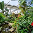 부천호수식물원 수피아 이미지