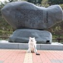 울산광역시 남구 신정2동 행정복지센터 이미지