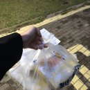 청년피자용인 이미지