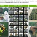 (주)하치노다카라코리아