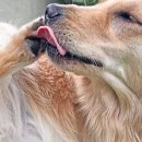 좋은 친구들 동물병원 이미지