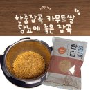 당뇨에 좋은 잡곡 고소함+식감 다 잡은 튀르키예 호라산밀 한줌잡곡 후기