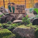 반디팜