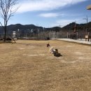 산책143