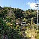 여성제 묘역 및 신도비 이미지