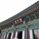 맛고을메밀국수 | 양양 낙산사 템플스테이 ⛩