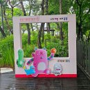 장미천국 이미지
