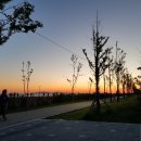 솔찬공원 이미지