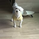 행복만줄개 이미지