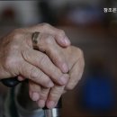 참조은실버요양원