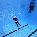 동산로3 | 창원프리다이빙 강습 미트로프리다이빙 초보 입문자 가격 체험 후기