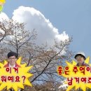 경주더포레한옥펜션