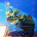 옥전빌딩 이미지