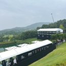 우정힐스컨트리클럽 | 제네시스 챔피언십 2025, 우정힐스에서 보낸 나의 첫 갤러리 경험 (VIP 후기)